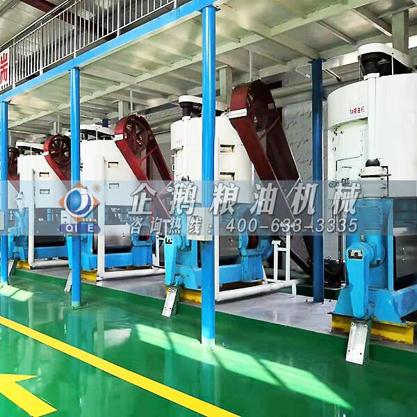 鄭州企鵝告訴您山茶籽預(yù)處理對山茶籽油品質(zhì)的影響：一道不可或缺